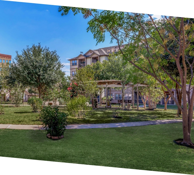 tree-lined courtyard